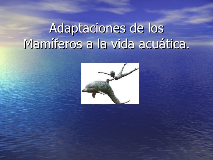 LA VIDA DE LOS MAMIFEROS la vida de los mamiferos: