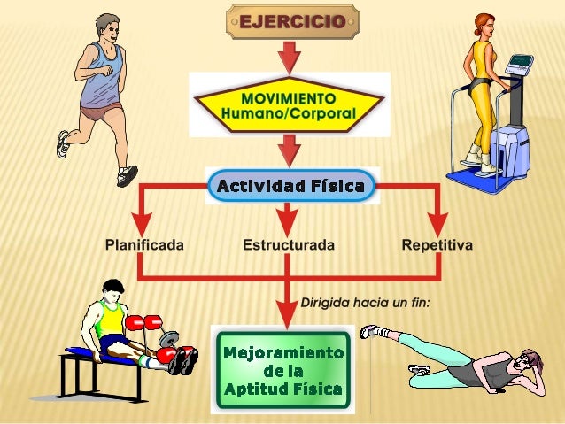 Adaptaciones fisiológicas por ejercicio crónico.2015pptx