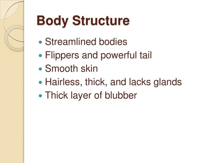 adaptive features of animals in aquatic From squirting blood out of their eyes to stabbing their ribs through their owns chests these are 25 animals with insane survival adaptations. adaptive features of animals in aquatic From squirting blood out of their eyes to stabbing their ribs through their owns chests these are 25 animals with insane survival adaptations.