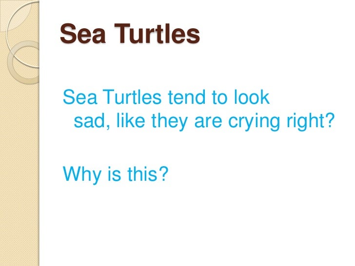 adaptive features of animals in aquatic From squirting blood out of their eyes to stabbing their ribs through their owns chests these are 25 animals with insane survival adaptations. adaptive features of animals in aquatic From squirting blood out of their eyes to stabbing their ribs through their owns chests these are 25 animals with insane survival adaptations.