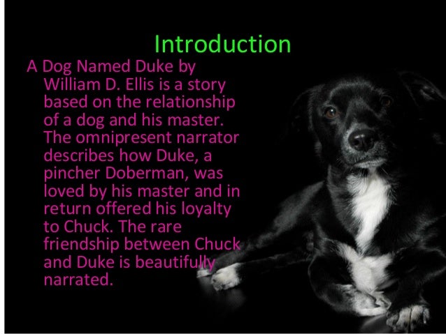 A Dog Named Duke Summary A Dog Named Duke Summary