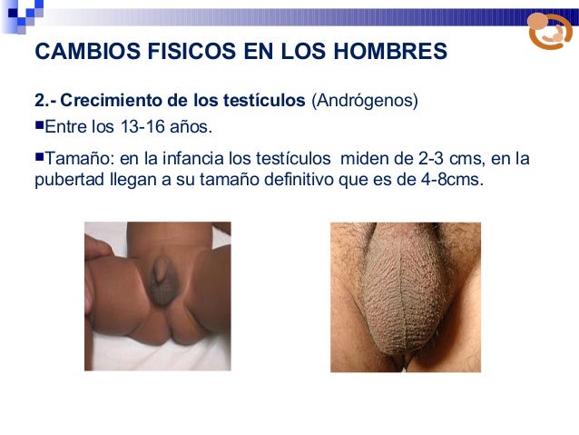 La operación que el miembro siempre estaba