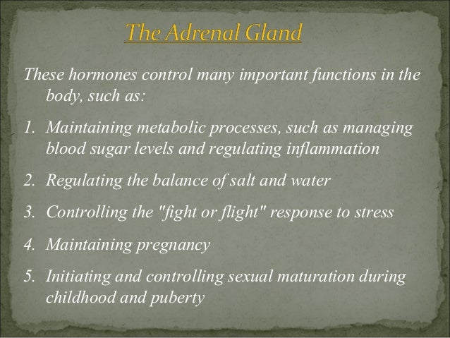 describe the effects of the hormone produced by the adrenal gland