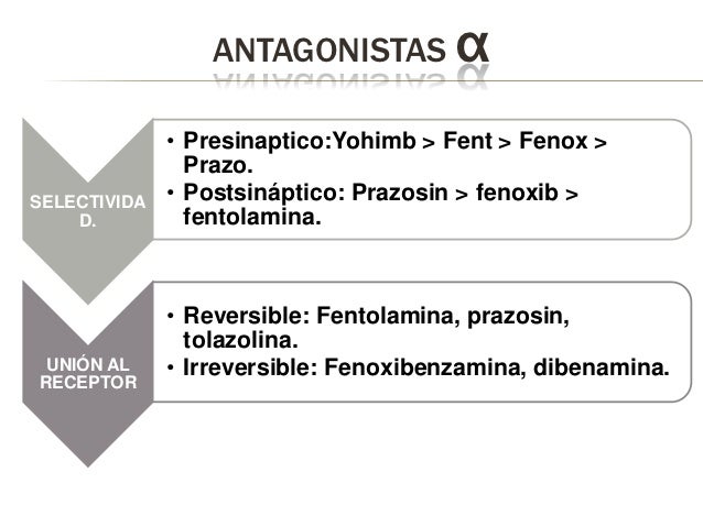 Adrenergicos Adrenergicos