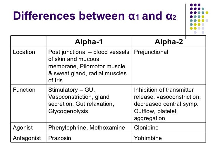 Adrenergic Drugs (updated 2011) drdhrit