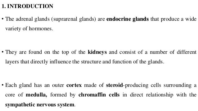 adrenal gland function ppt adrenal gland function ppt