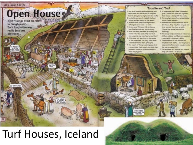 at home vikings at home at home vikings at home
