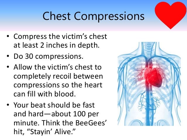 how to do cpr on a cpr learn how to perform cpr on victims how to do cpr on a cpr learn how to perform cpr on victims