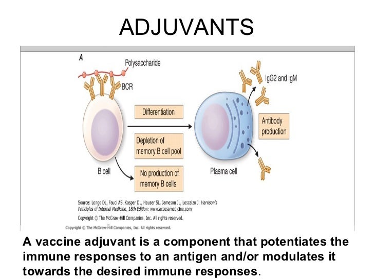 Forum on this topic: Typhoid Vaccine, Live, typhoid-vaccine-live/ Forum on this topic: Typhoid Vaccine, Live, typhoid-vaccine-live/