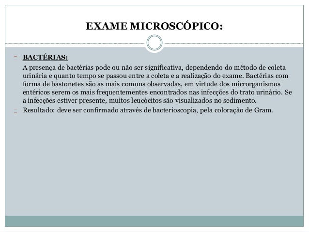 Exame microscopico do sedimento leucocitos