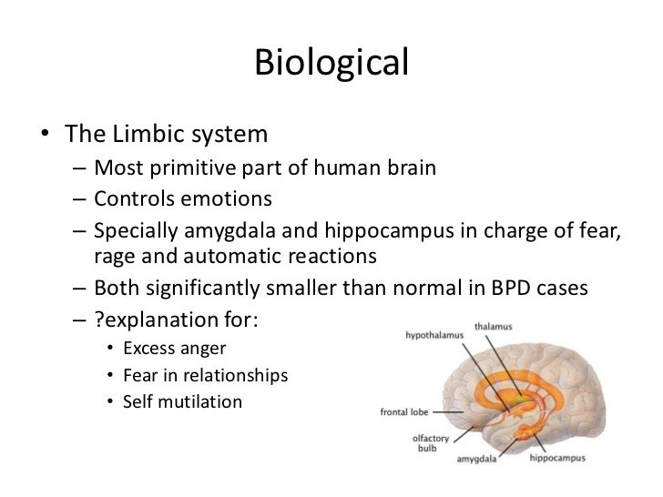 a case study of borderline personality disorder a case study of borderline personality disorder
