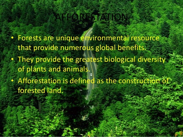 Essays On Deforestation