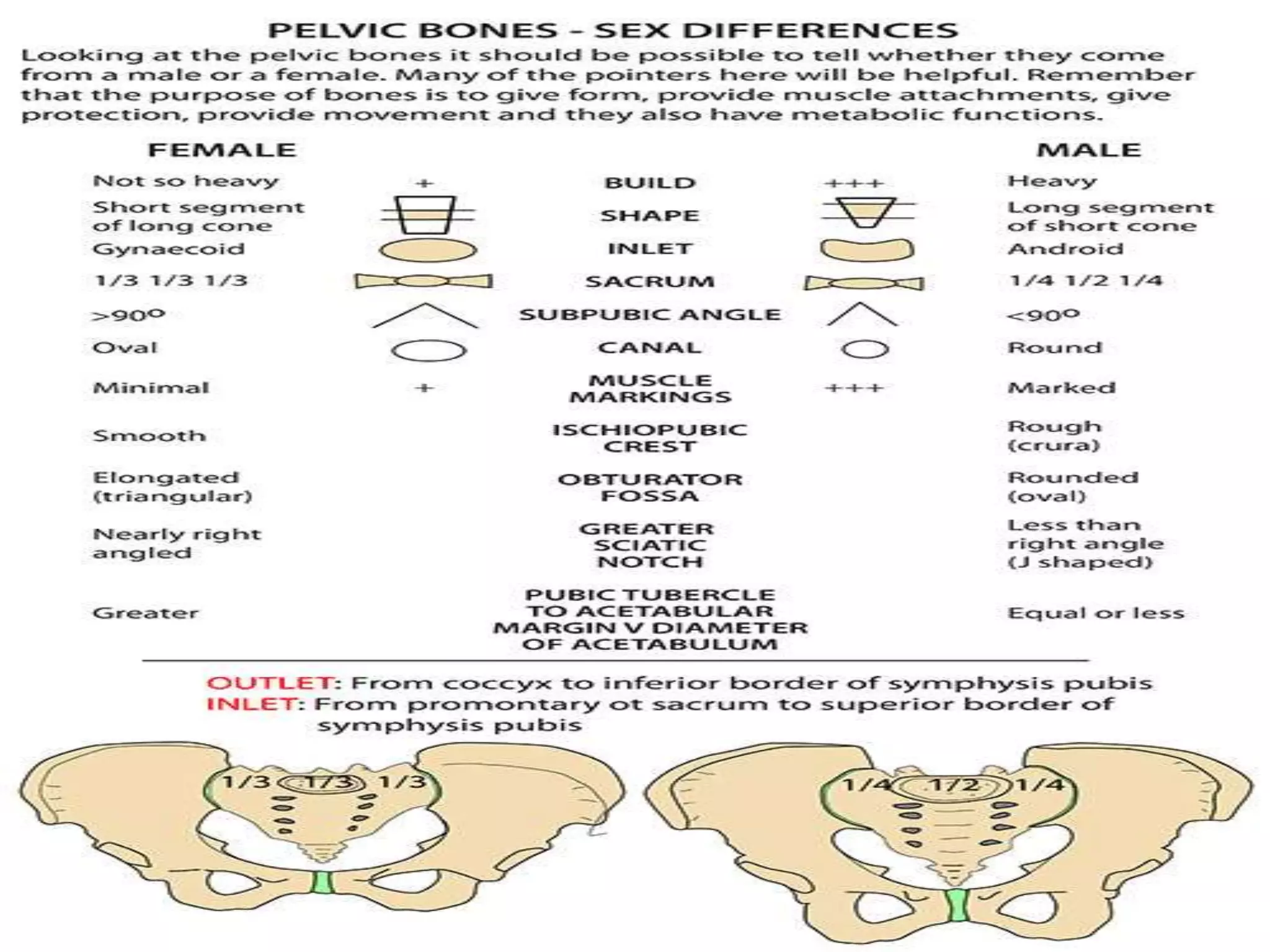 Age And Sex Ditermination From Pelvis PPTX