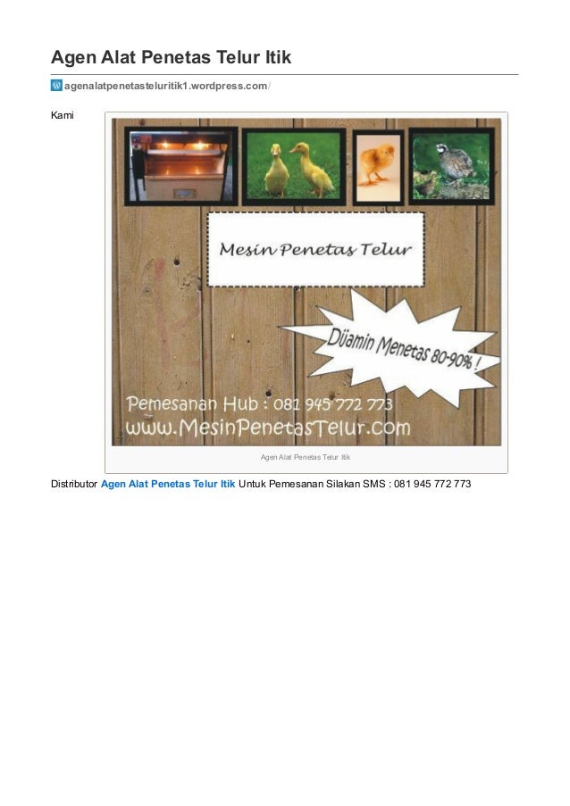 agen alat penetas telur itik agenalatpenetasteluritik1 agen alat penetas telur itik agenalatpenetasteluritik1