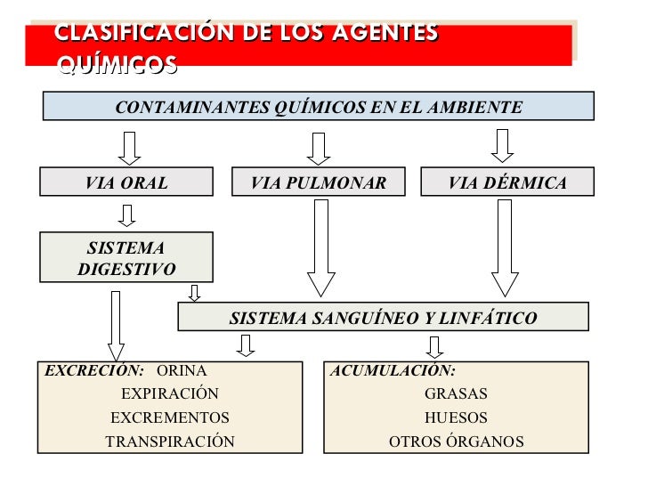 Agentes quimicos y decreto supremo 594