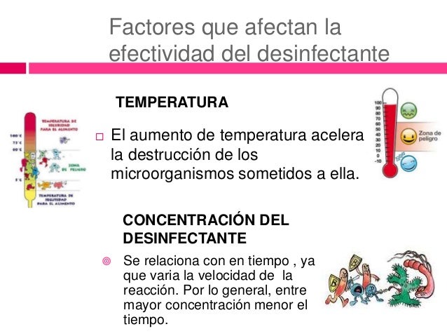 El hongo bajo las uñas de los pies el tratamiento público