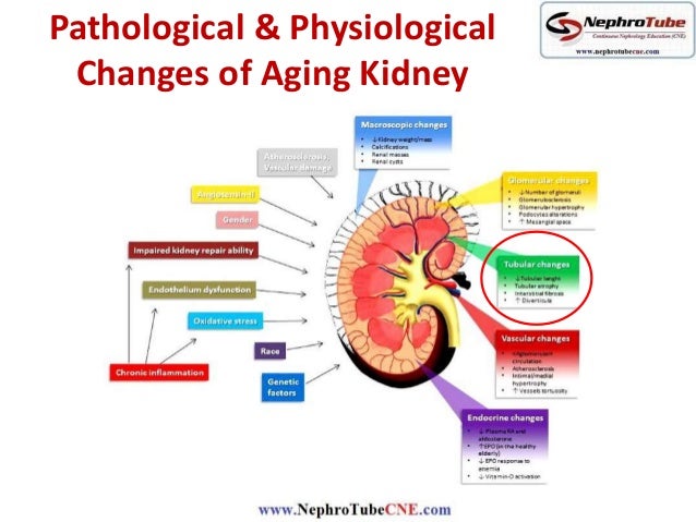 dialysis electrolytes