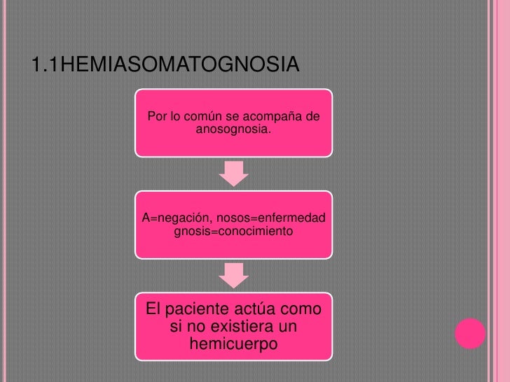 Agnosias somáticas(exposicion)