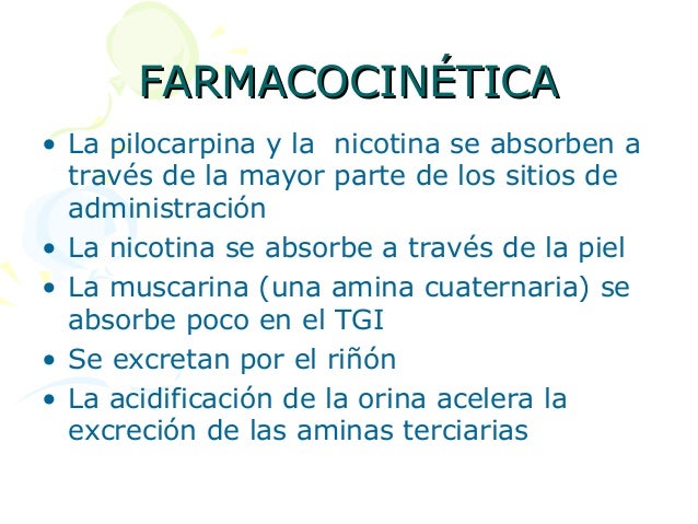 Sobre el miembro viril los pequeños lipomas que esto