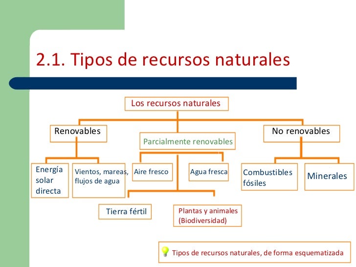 Agotamiento de los recursos naturales Agotamiento de los recursos naturales