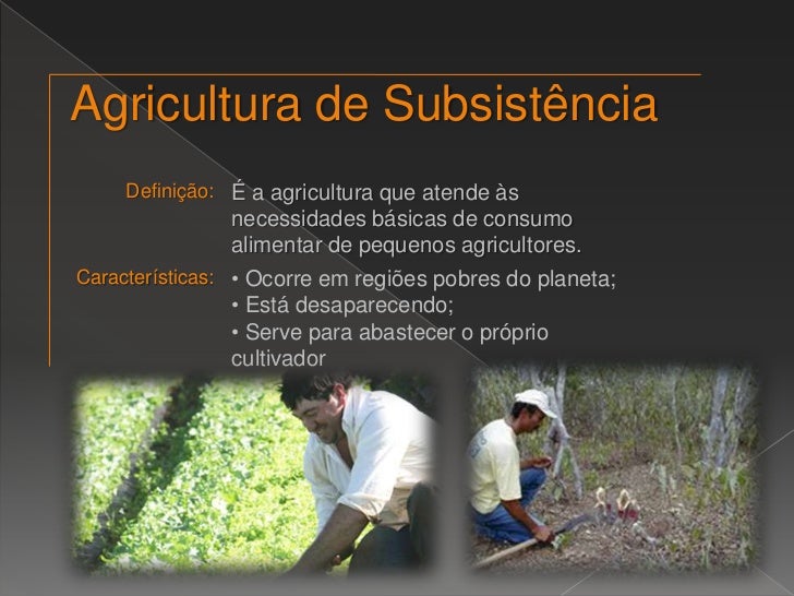 Explique O Que é Agricultura De Subsistência