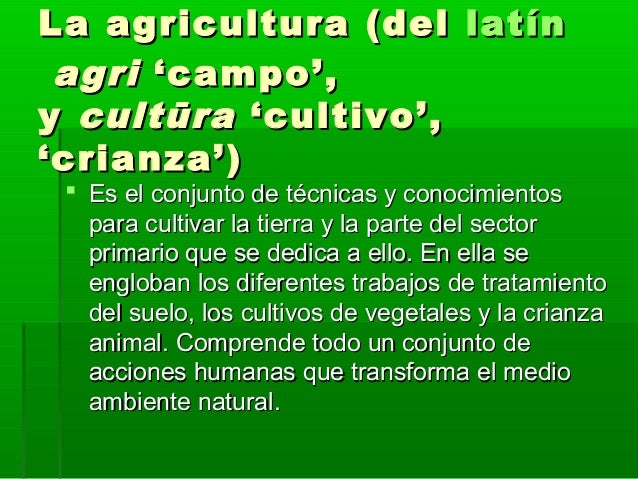 Agricultura convencionalAgricultura convencional 