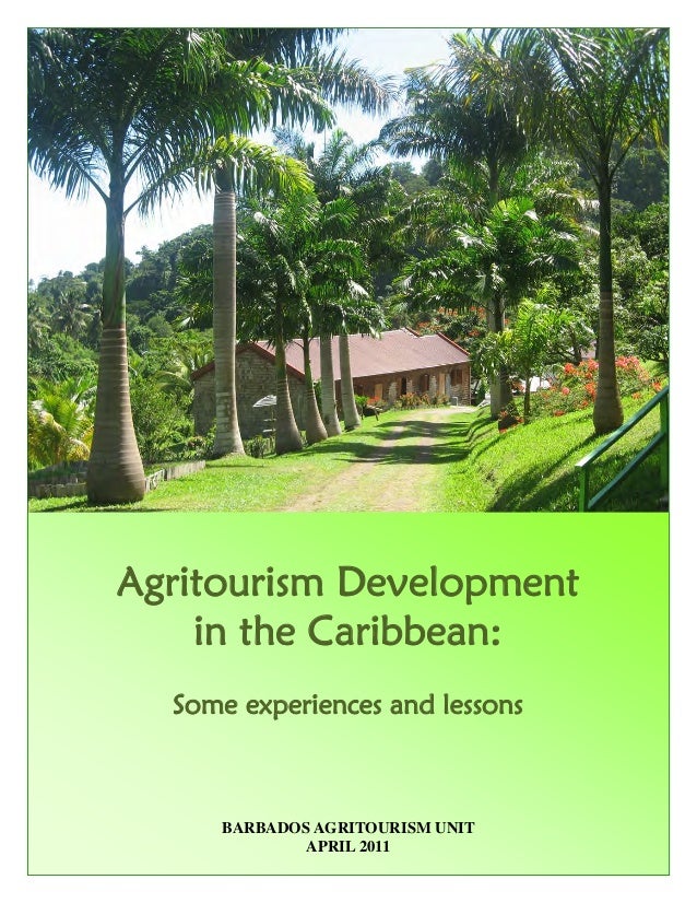 tourism in the caribbean essay tourism in the caribbean essay
