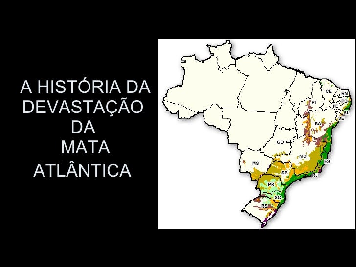 Cite Quatro Estados Em Que Ocorreu Devastação Da Mata Atlantica