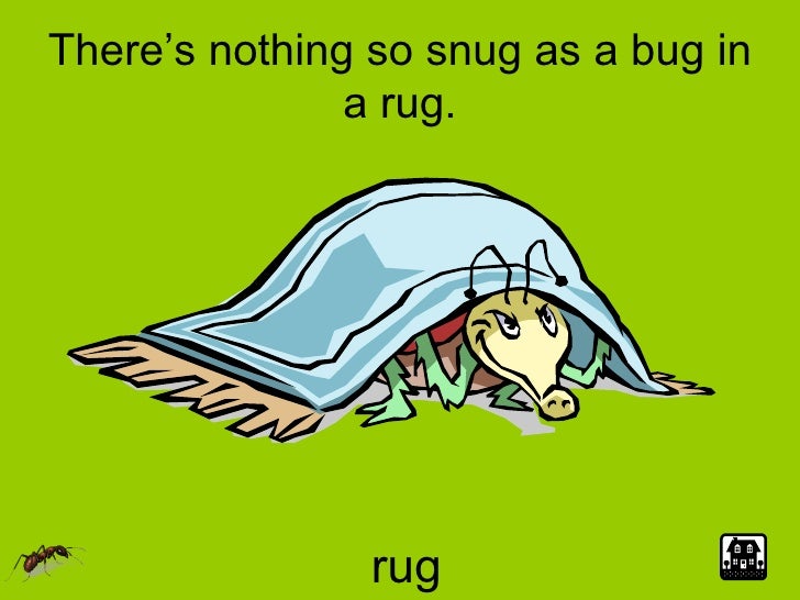 Storing Rugs properly bugs in rugs.