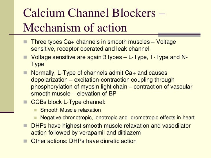 worlb bank calcium channel blockers mechanism of action