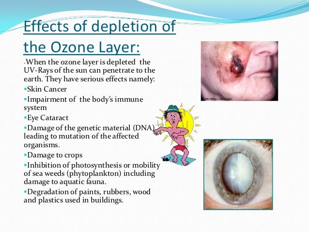 What are the effects of ozone depletion?