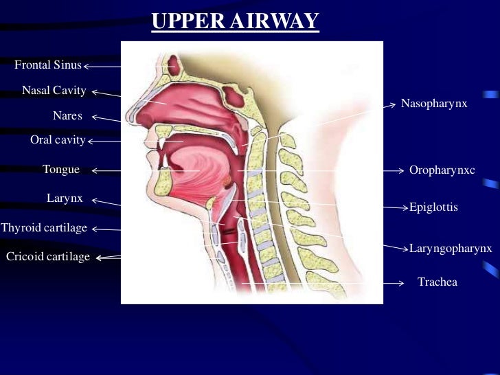 How to therapy chronic sinus contamination without antibiotics persistent sinusitis without nasal discharge