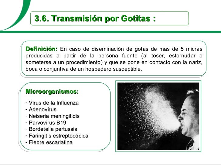 Los ojos los círculos oscuros la enfermedad