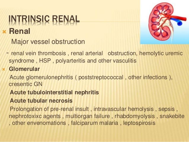 Kidney function Gfr forty
