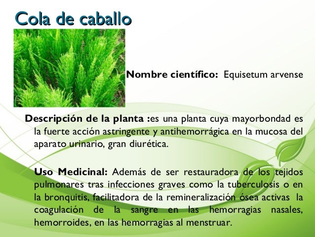 Album de Plantas Album de Plantas