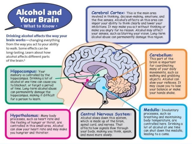 brain effects alcoholism alcoholic abuse