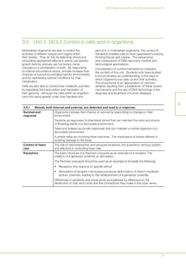 Aqa biology essay structure