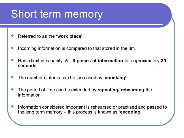 Memory processes essay 08 image