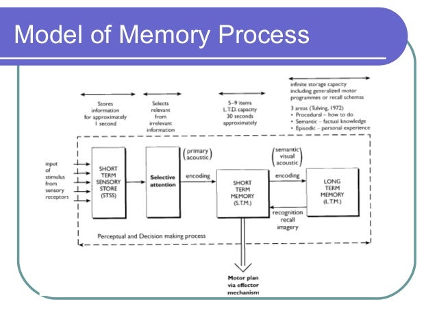 memory process Zombies probably won’t consume 32 gb of your memory like they did to me, but zombie processes do exist, and i can help you find them and make sure that developers fix them tool source link. memory process Zombies probably won’t consume 32 gb of your memory like they did to me, but zombie processes do exist, and i can help you find them and make sure that developers fix them tool source link.