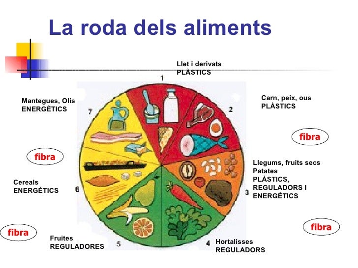 Alimentació i Nutrició