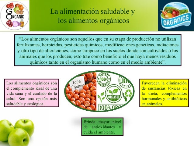 Dieta Saludable Segun La Oms