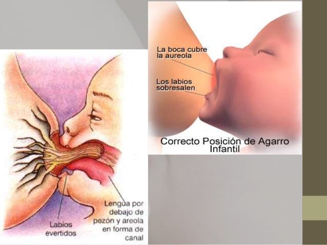 20.000 años atrás. Alimentacin-al-seno-materno-10-638