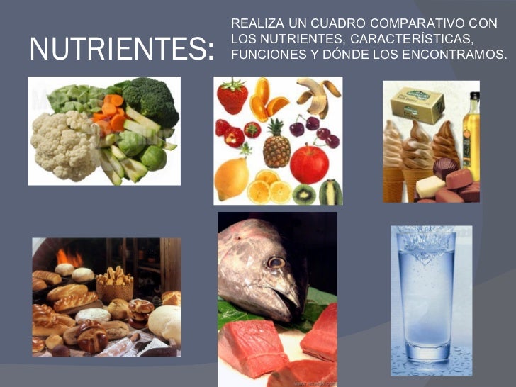 Alimentación en el ser humano, 7mo b2 Alimentación en el ser humano, 7mo b2