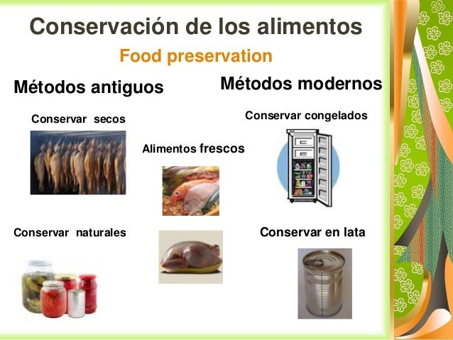 Alimentación y digestión
