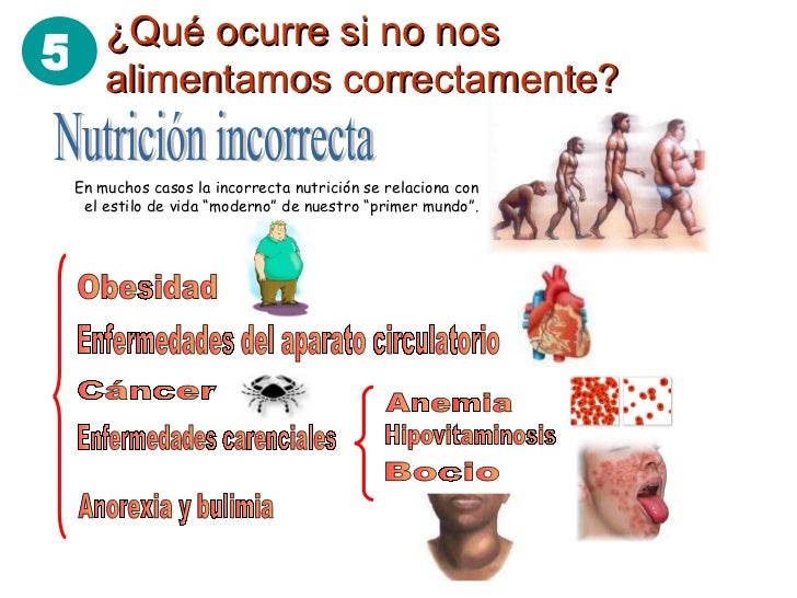 ALIMENTACION Y NUTRICION