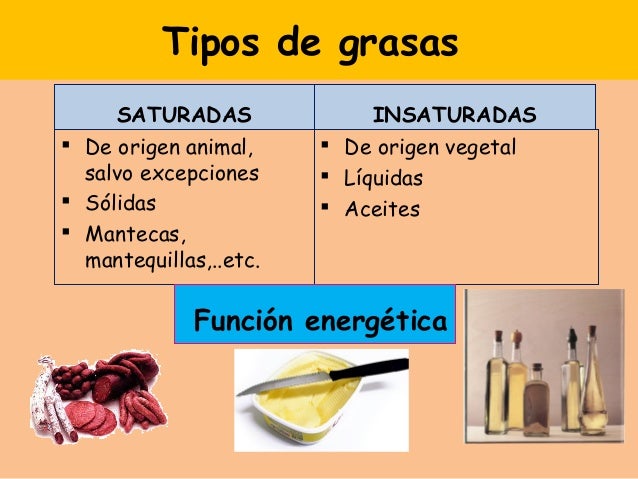 Alimentación y nutrición 3º diver act