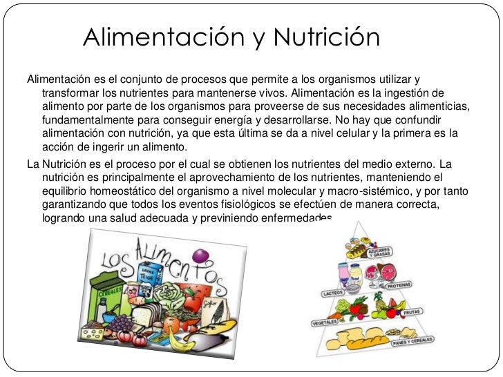 alimentaci n y salud que es un mural de nutricion alimentaci 243 n y nutrici alimentaci n y salud que es un mural de nutricion alimentaci 243 n y nutrici