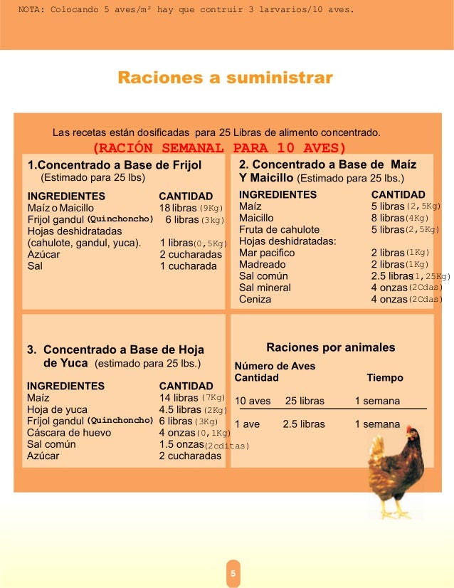 Alimento artesanal para aves Alimento artesanal para aves