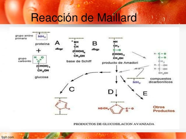 Alimentos clase 5 m