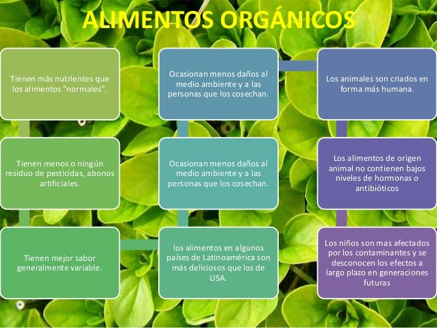 SUELOS A su vez, se incrementa la circulación de los nutrientes y la energía, y mejora la capacidad de retención de nutrie...